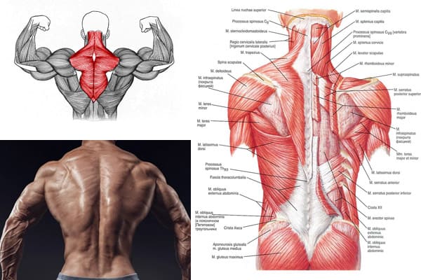 masajes para lumbalgia